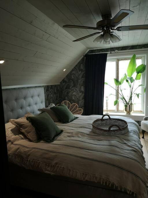 Mojo Organic Spa Borgholm község Kültér fotó